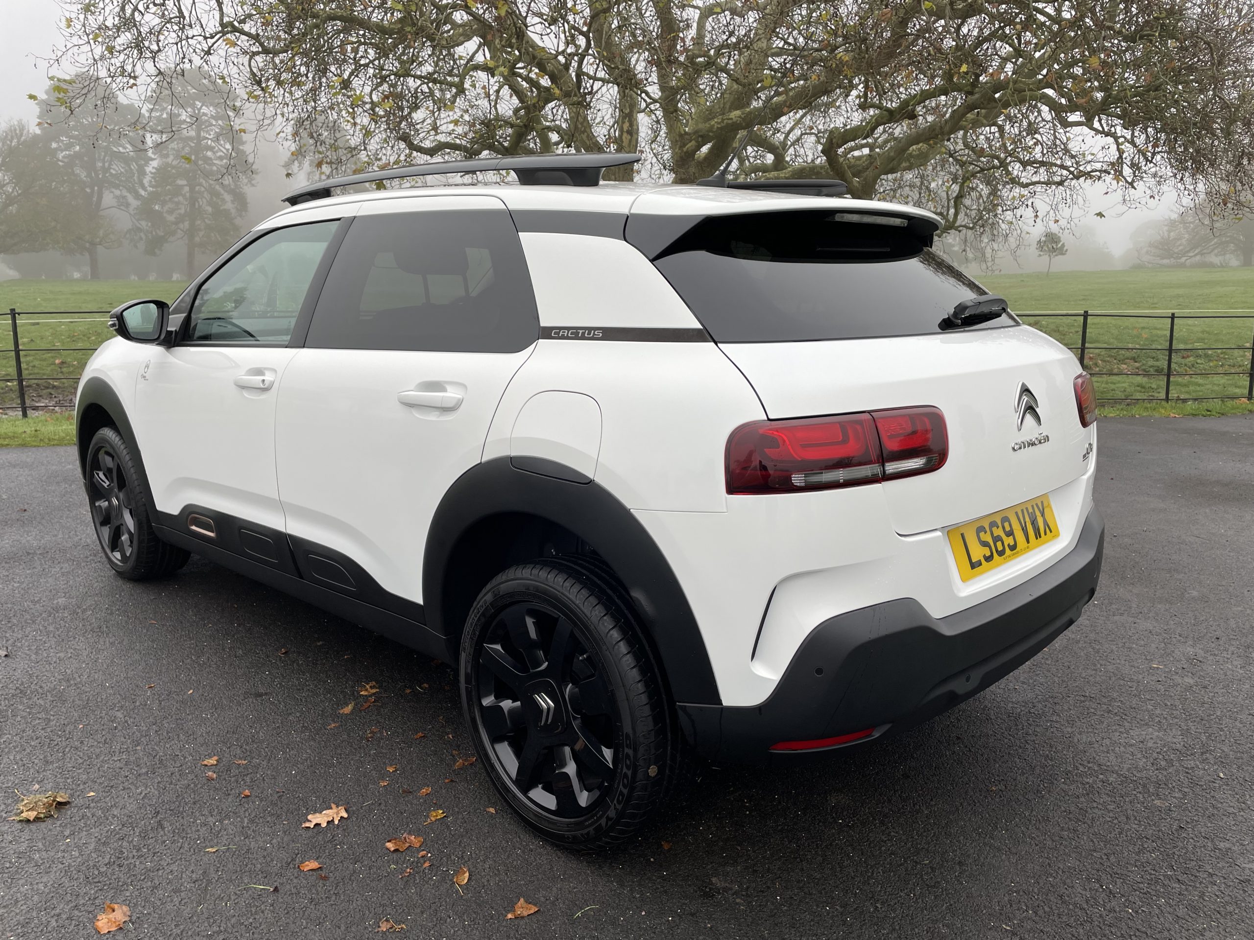 Citroen C4 Cactus 1 2 PureTech Origins Hatchback 5dr Petrol Manual Euro